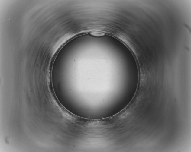 X0000103281093200808291306