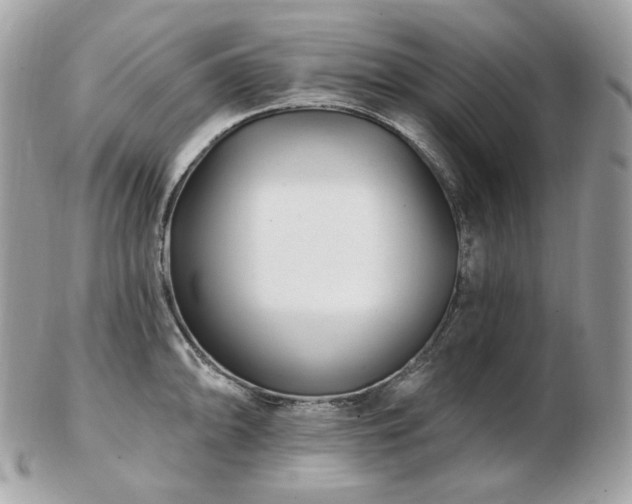 X0000103281094200808291306