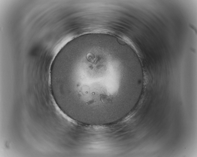 X0000103281095200808291306