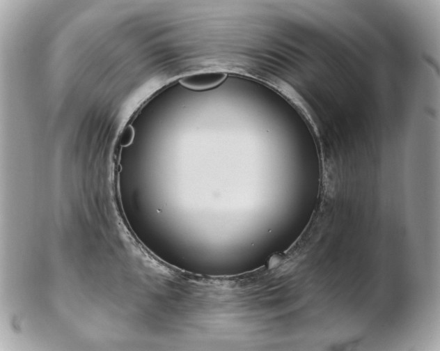 X0000103281096200808291306