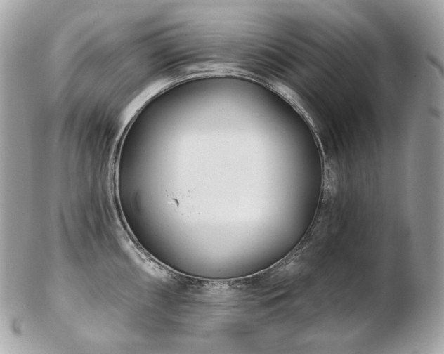 X0000103281098200808291306