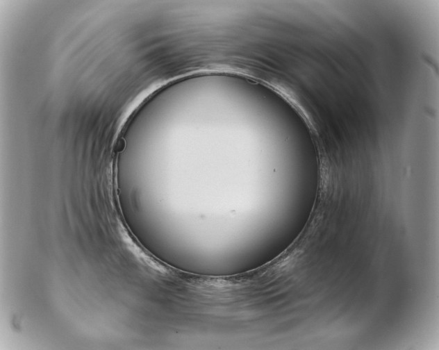 X0000103281100200808291306