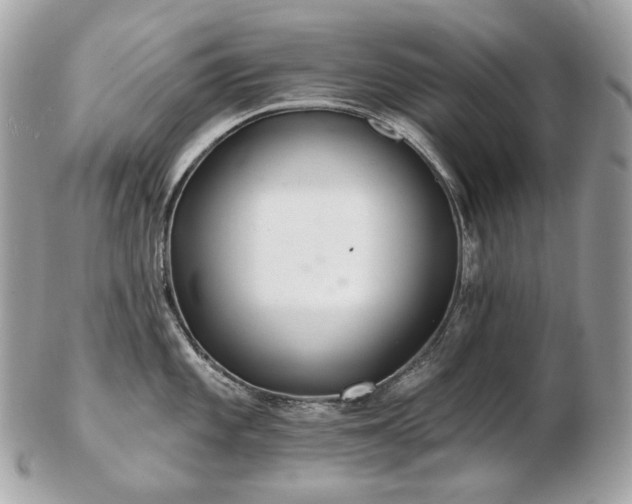 X0000103281101200808291306