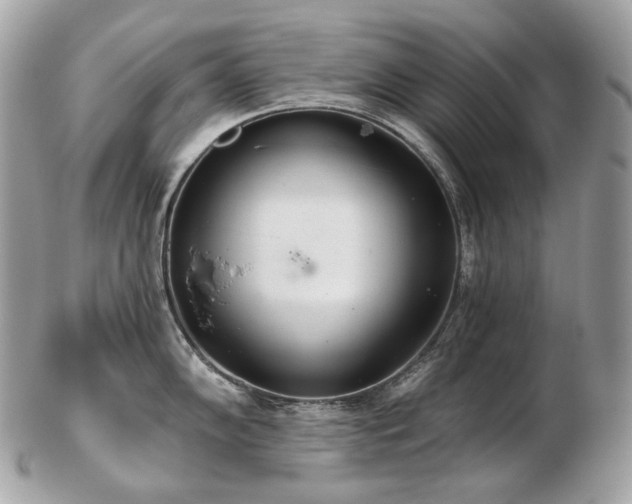 X0000103281102200808291306