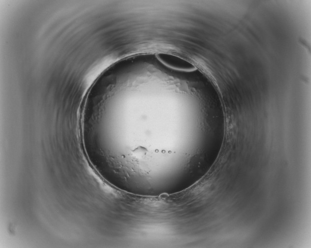 X0000103281103200808291306