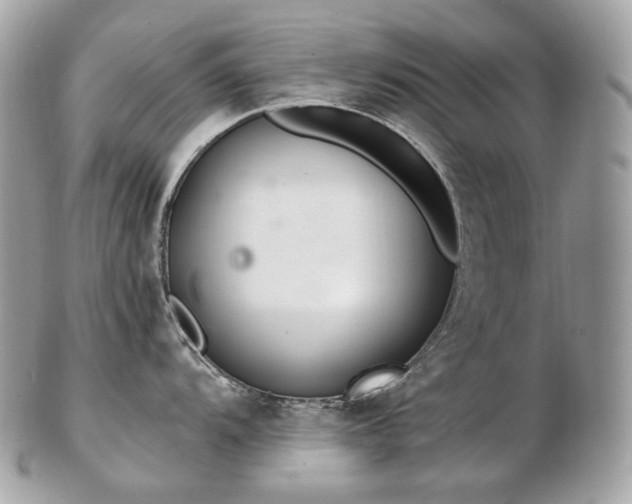 X0000103281104200808291306