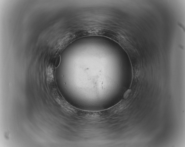 X0000103281106200808291305