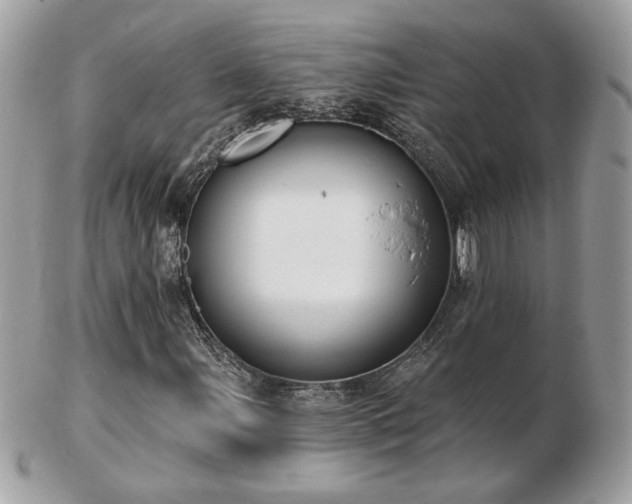 X0000103281107200808291305