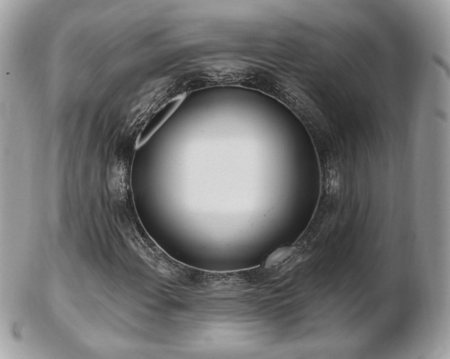 X0000103281108200808291305