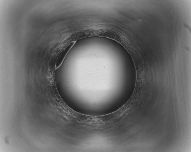 X0000103281109200808291305