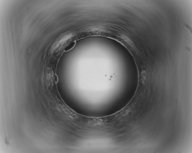 X0000103281111200808291305