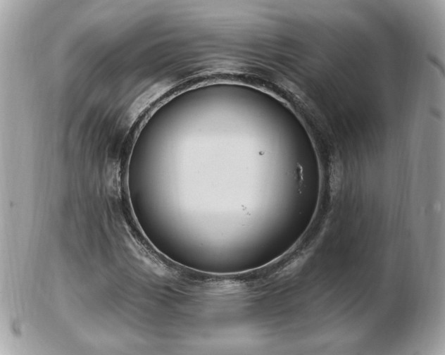 X0000103281113200808291305