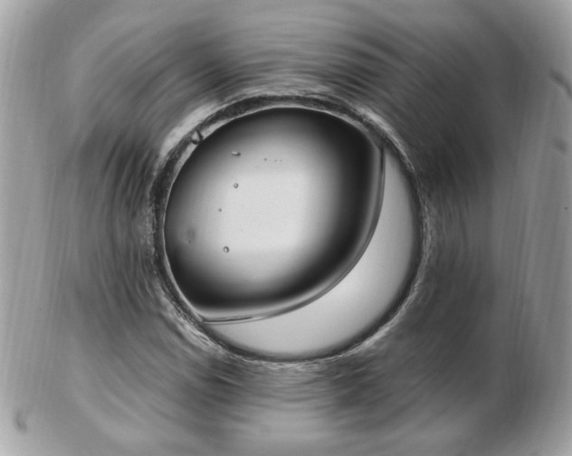 X0000103281114200808291305