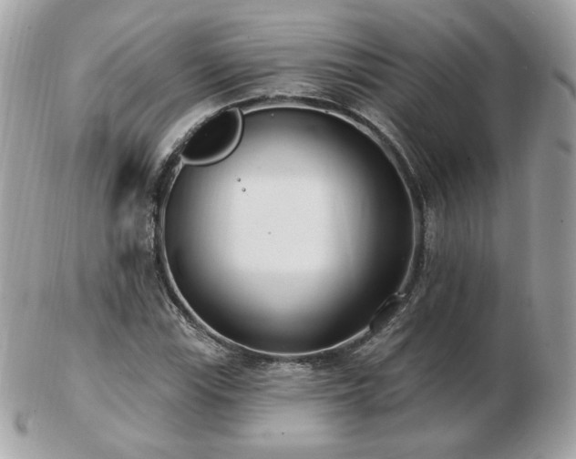 X0000103281115200808291305