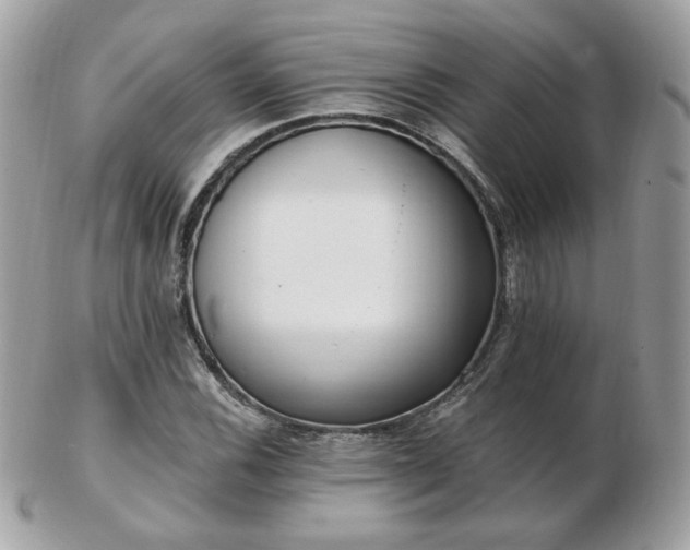 X0000103281116200808291305