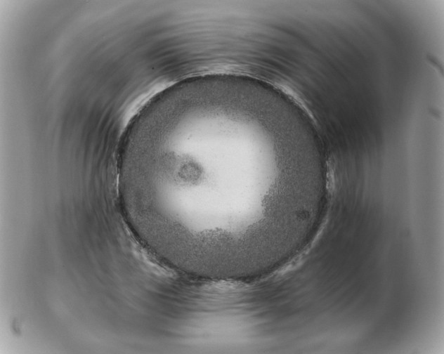 X0000103281117200808291305