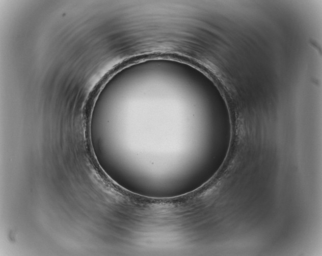 X0000103281118200808291305