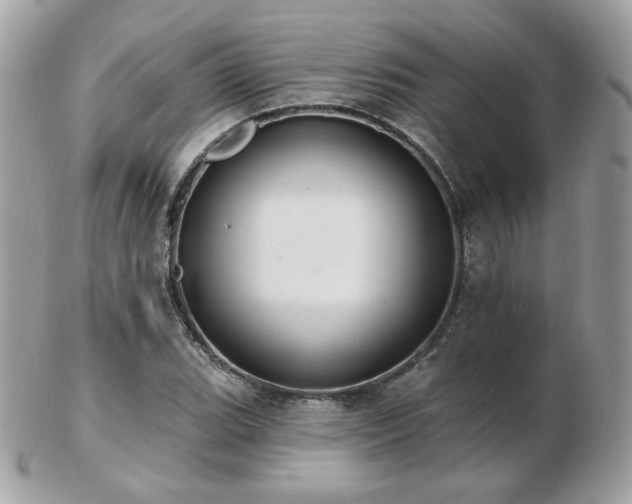 X0000103281119200808291305