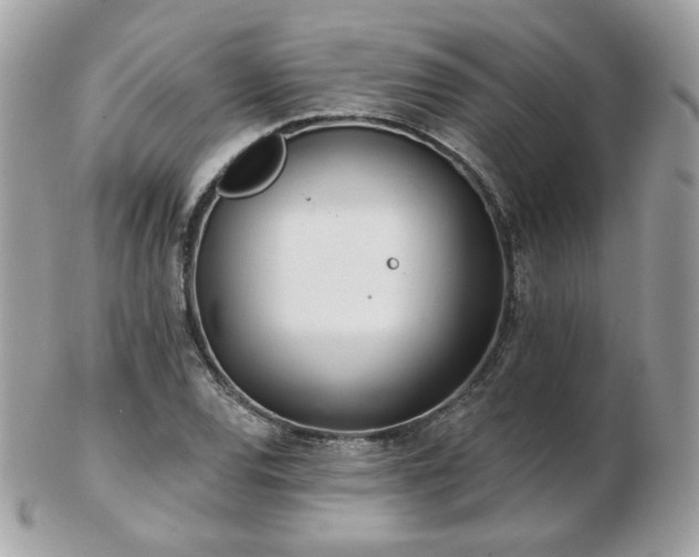 X0000103281120200808291305