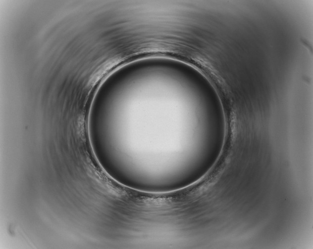 X0000103281121200808291305