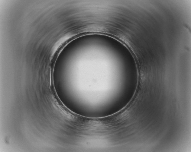 X0000103281123200808291305