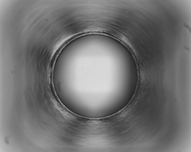 X0000103281124200808291305