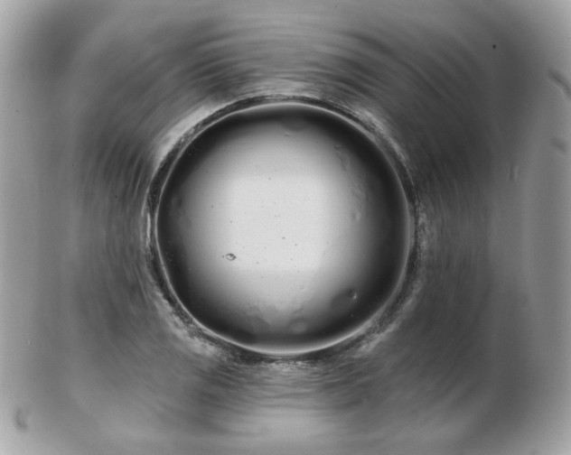 X0000103281125200808291305