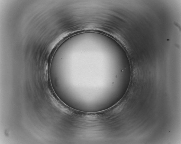 X0000103281126200808291305