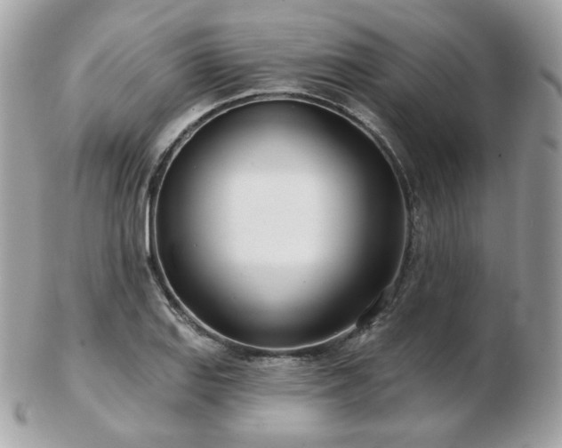 X0000103281127200808291305