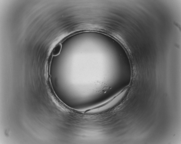 X0000103281128200808291305