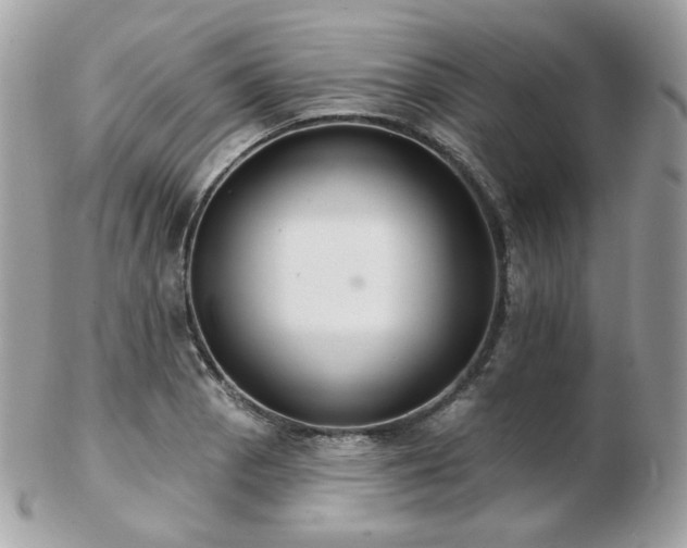 X0000103281129200808291305