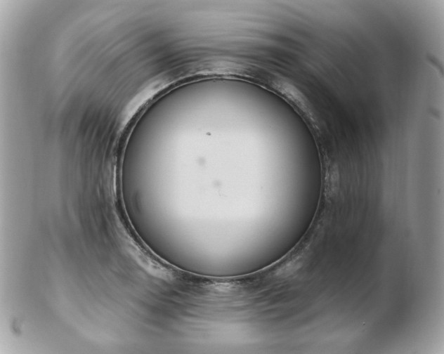 X0000103281130200808291305