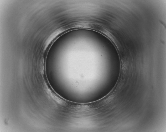 X0000103281131200808291305