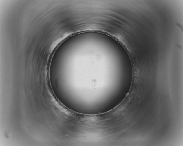 X0000103281134200808291305