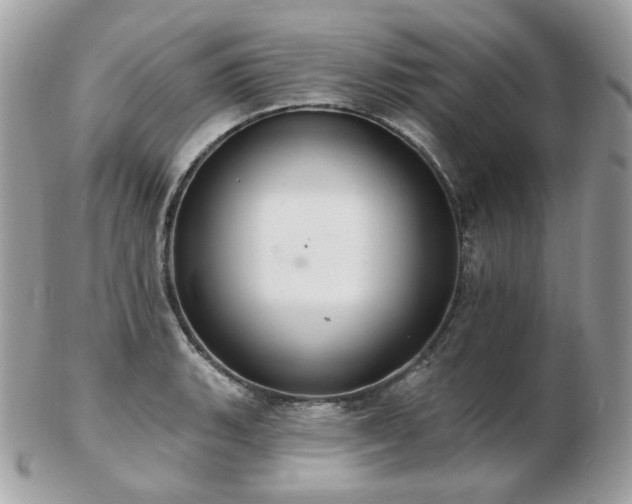 X0000103281135200808291306