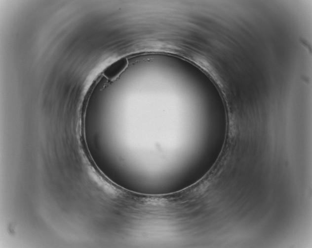 X0000103281136200808291306