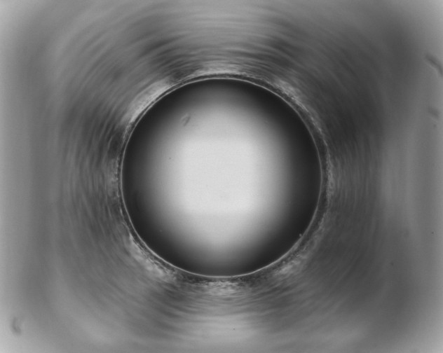 X0000103281137200808291306