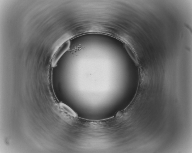 X0000103281138200808291306