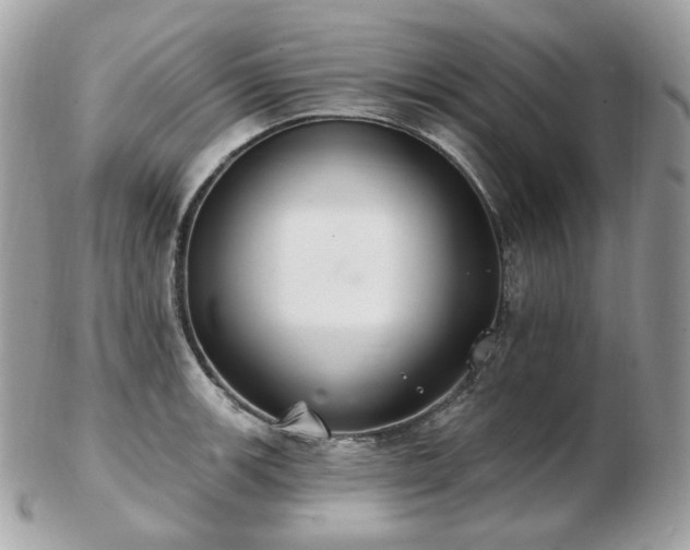 X0000103281139200808291306