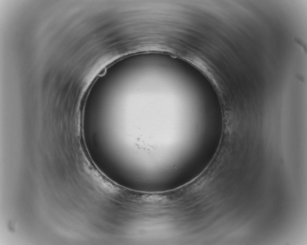 X0000103281140200808291306