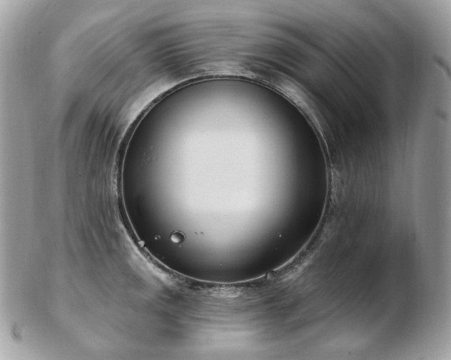 X0000103281141200808291306