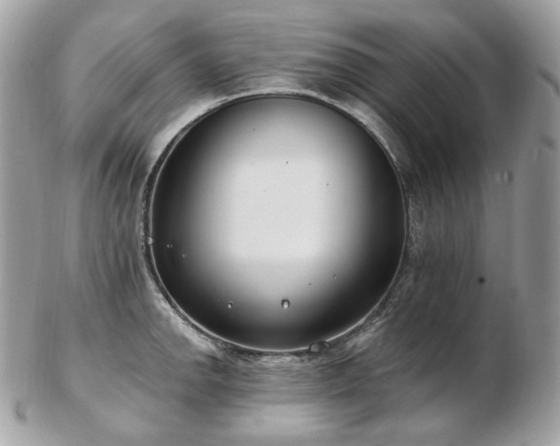 X0000103281142200808291306