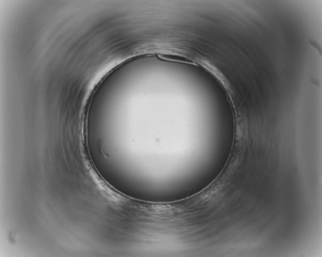 X0000103281144200808291306