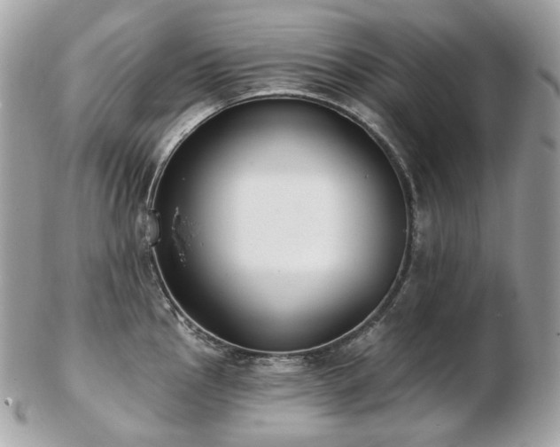 X0000103281145200808291306