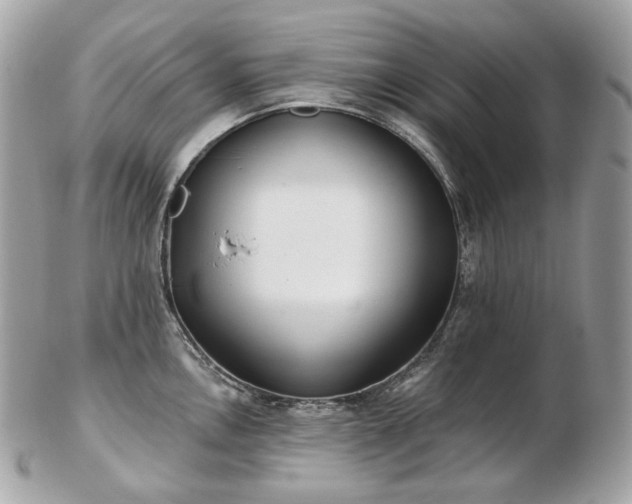 X0000103281146200808291306