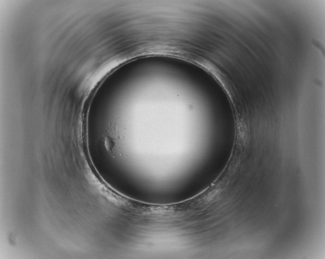 X0000103281147200808291306