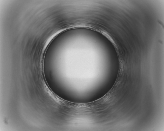 X0000103281148200808291306