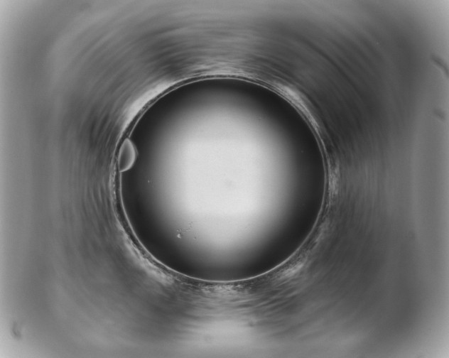 X0000103281149200808291306