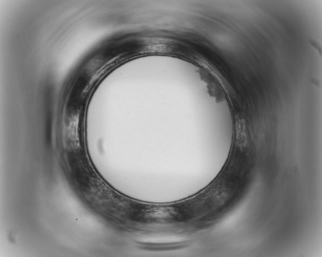 X0000103281150200808291306