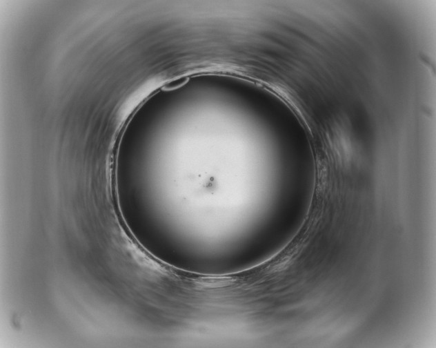 X0000103281151200808291306